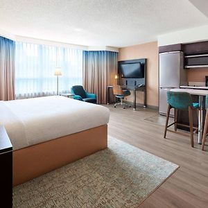Studio Suite King 1 King Bed